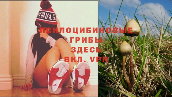 гидропоника Верхний Тагил