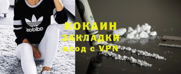 сатива Верея