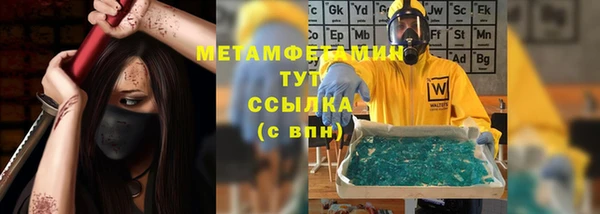 сатива Верея