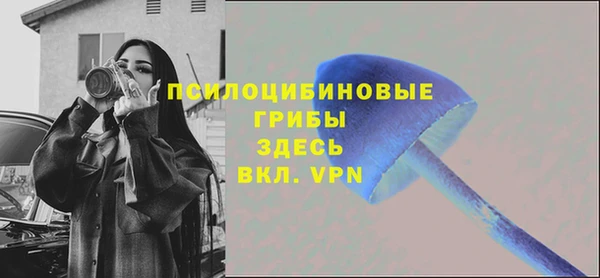 шишки Верхнеуральск