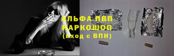 гидра Бородино