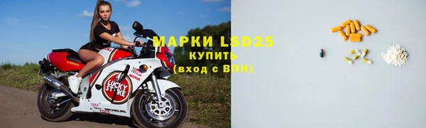 сатива Верея