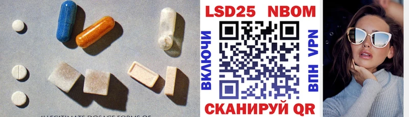 darknet Telegram  даркнет сайт  Гвардейск  Лсд 25 экстази кислота 