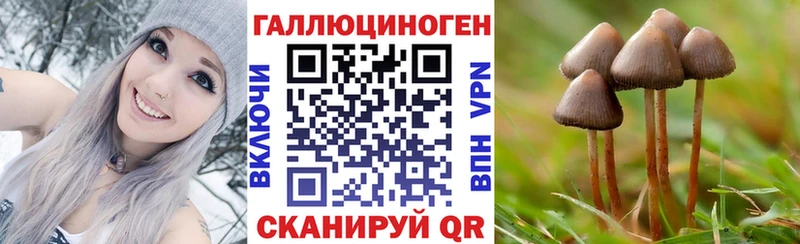 что такое   Гвардейск  Псилоцибиновые грибы Cubensis 